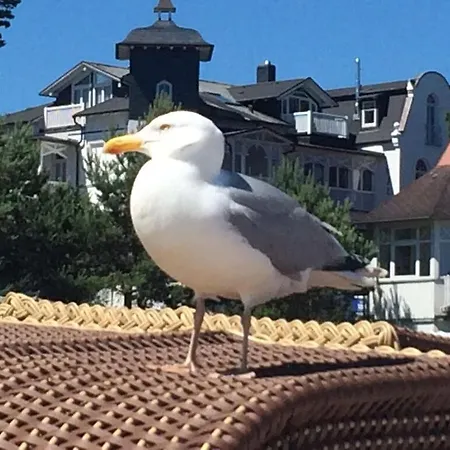 Moritz Appartamento Binz